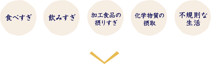 食べすぎ 飲みすぎ 加工食品の摂りすぎ 化学物質の摂取 不規則な生活