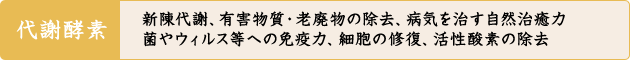 代謝酵素 新陳代謝、有害物質・老廃物の除去、病気を治す自然治癒力 菌やウィルス等への免疫力、細胞の修復、活性酸素の除去