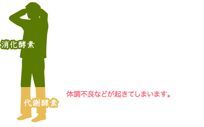 現代の食生活では、酵素が摂りにくく、体内酵素のうちのほとんどの酵素が消化酵素として使われてしまいます。消化酵素ばかりを使う生活をしていると代謝酵素がなくなり、バランスが崩れ、太ったり、病気がちになったり、肌荒れしたり、疲れやすく、体調不良などが起きてしまいます。