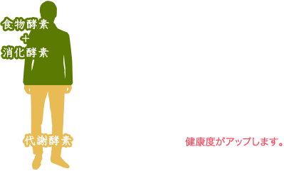 「消化」という作業を減らすことが、「酵素サプリ」の大きなポイントです。「食物酵素」摂ることによって、「消化」の活動が減ると、その分「代謝」に使える酵素が増えます。そうすると、脂肪の燃焼アップ、有害物質・老廃物の除去力アップ、自然治癒力アップ、免疫力アップ、細胞の修復力アップ、活性酸素の除去力アップと一気に健康度がアップします。