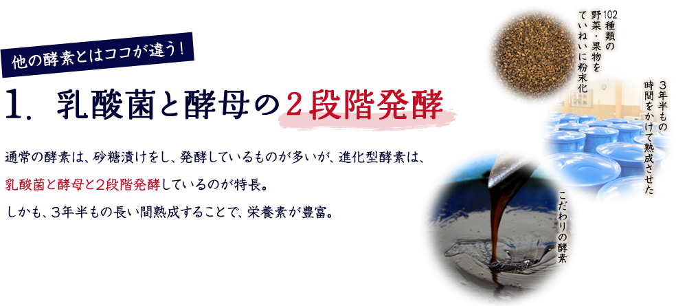 他の酵素とはココが違う！ 1. 乳酸菌と酵母の２段階発酵 通常の酵素は、砂糖漬けをし、発酵しているものが多いが、進化型酵素は、乳酸菌と酵母と2段階発酵しているのが特長。しかも、3年半もの長い間熟成することで、栄養素が豊富。