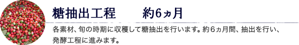 糖抽出工程　約6ヵ月 各素材、旬の時期に収穫して糖抽出を行います。約６ヵ月間、抽出を行い、発酵工程に進みます。