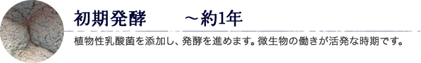 初期発酵　～約1年 植物性乳酸菌を添加し、発酵を進めます。微生物の働きが活発な時期です。