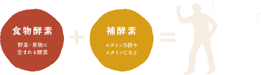 食物酵素 野菜・果物に含まれる酵素 補酵素 ビタミンB群やビタミンCなど 体内酵素で元気に!!