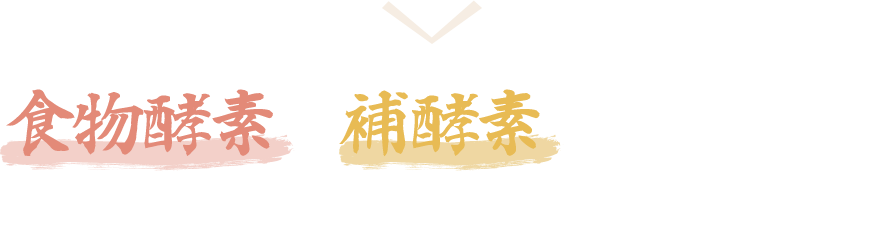 食物酵素＆補酵素の同時摂取が必要なのです！