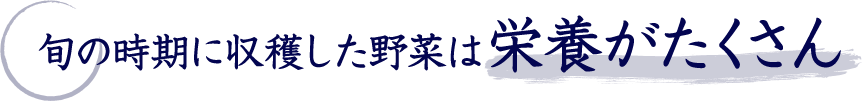 旬の時期に収穫した野菜は栄養がたくさん